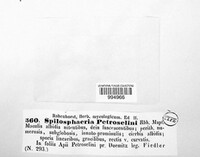 Image Associated With the Occurence